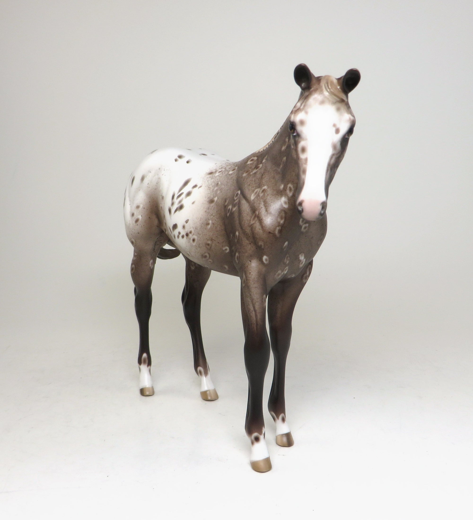 peter stone weanling