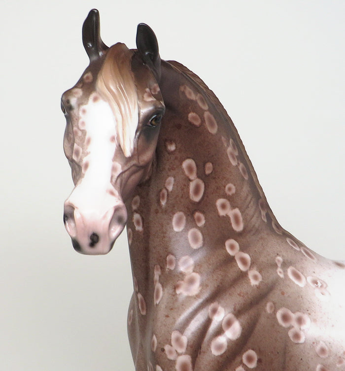 appaloosa arabian model horse
