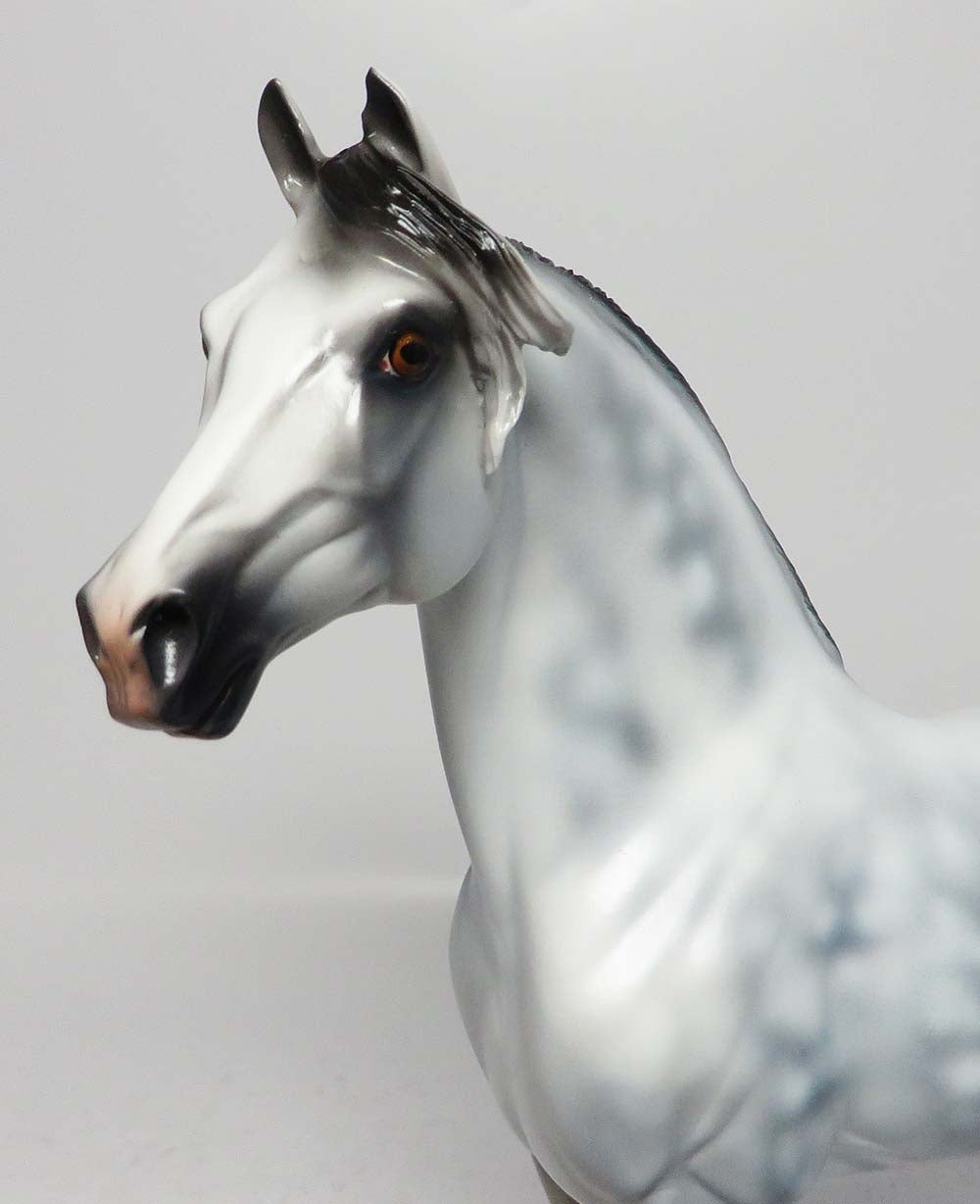 GHOST RIDER-LE-4 STAR DAPPLED GREY MORGAN MODEL HORSE WHS 2017