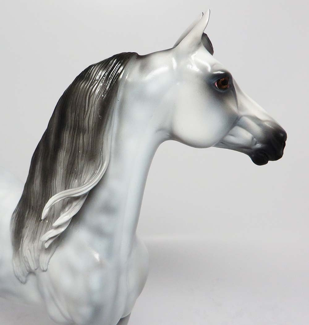 GHOST RIDER-LE-4 STAR DAPPLED GREY MORGAN MODEL HORSE WHS 2017