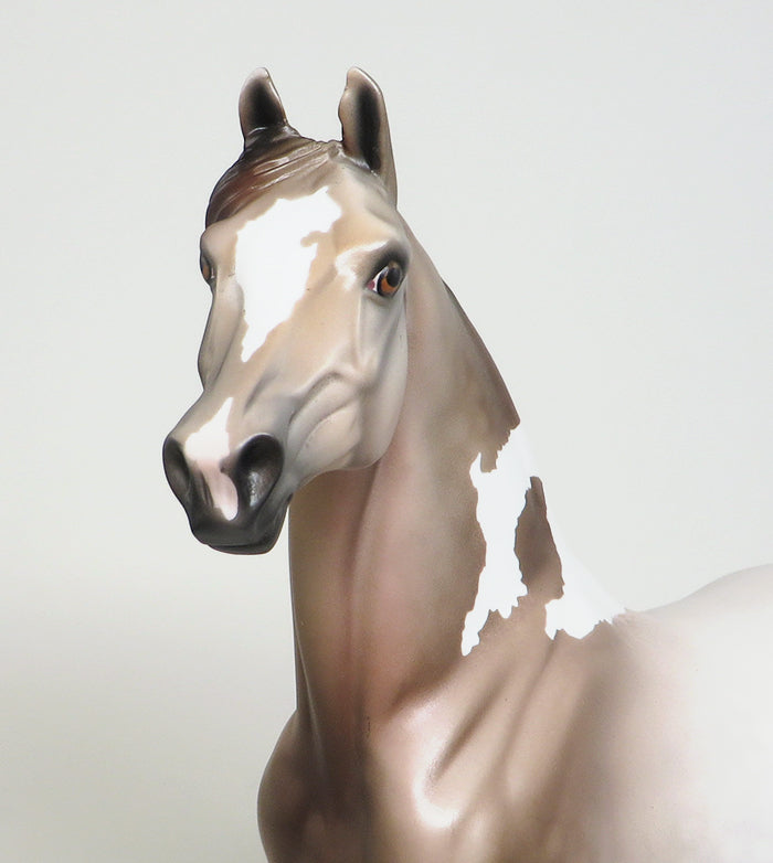 chestnut roan paint morgan gardenia