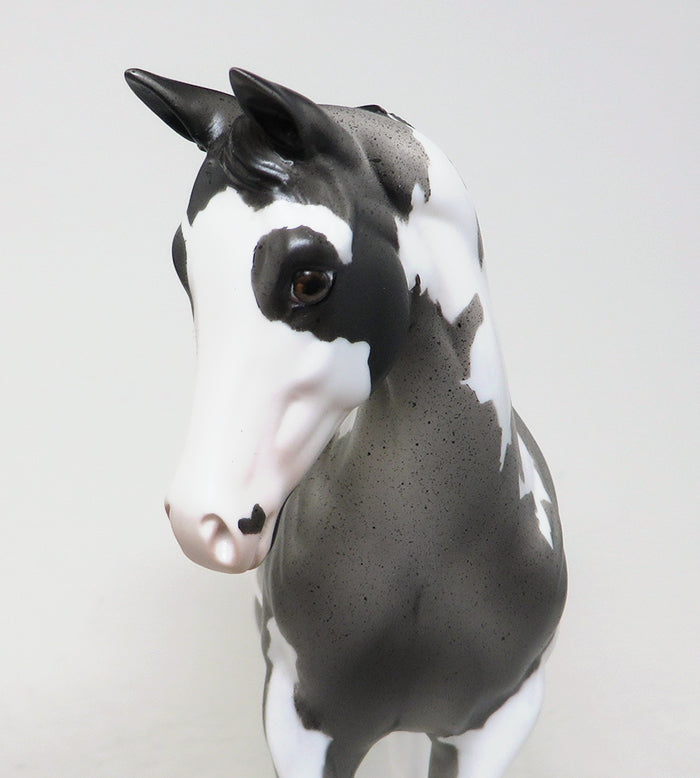 model horse roan weanling