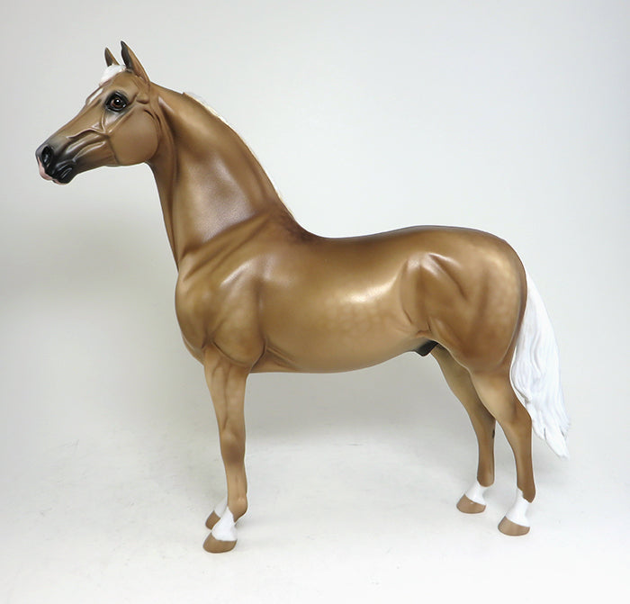 palomino treasure island morgan