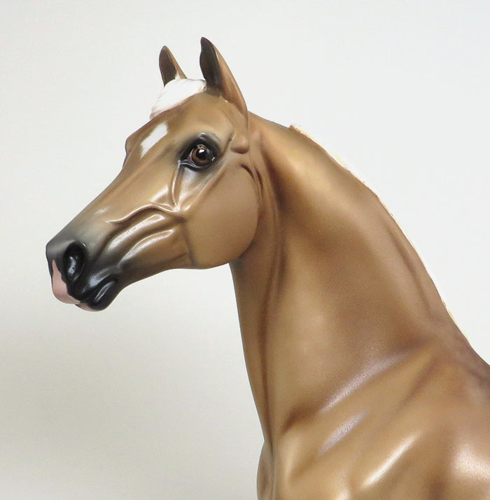 one of a kind palomino morgan