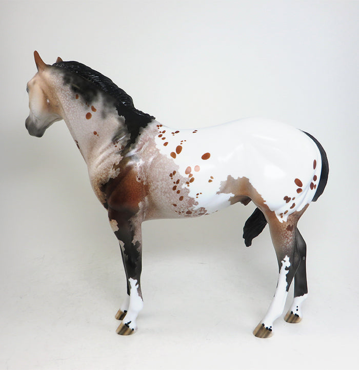 appaloosa