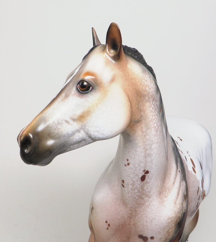 peter stone appaloosa model horse