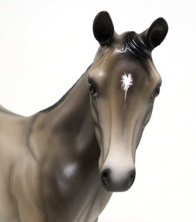 dun weanling dunny foo foo