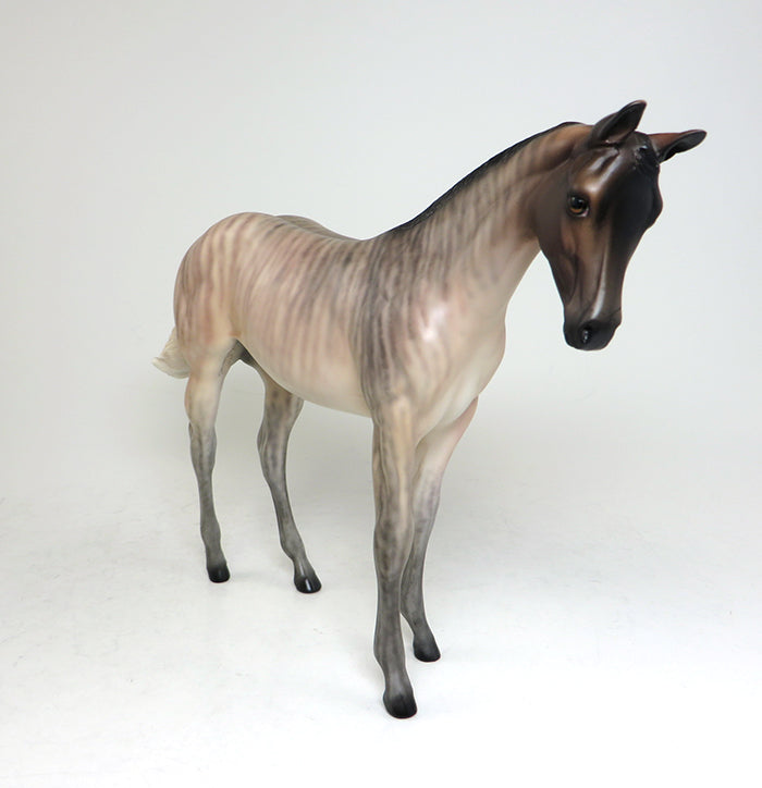 brindle weanling day tripper