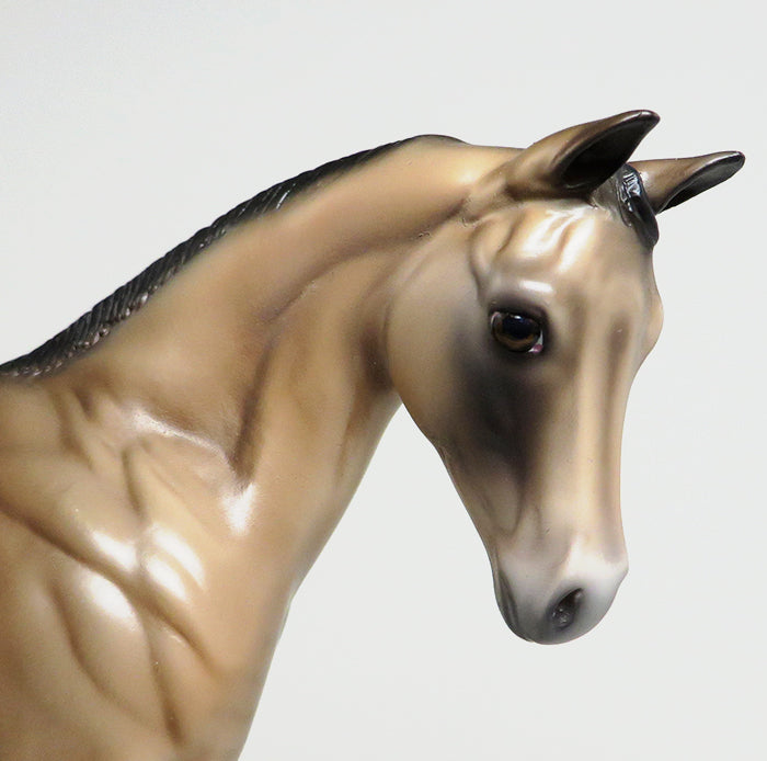 peter stone weanling honeysuckle kisses