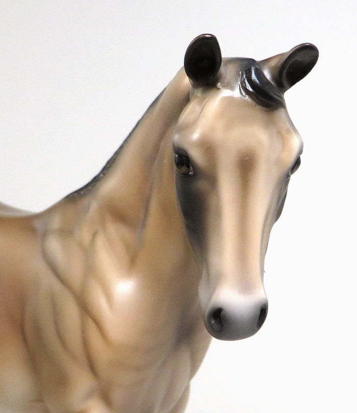 one of a kind model horse weanling