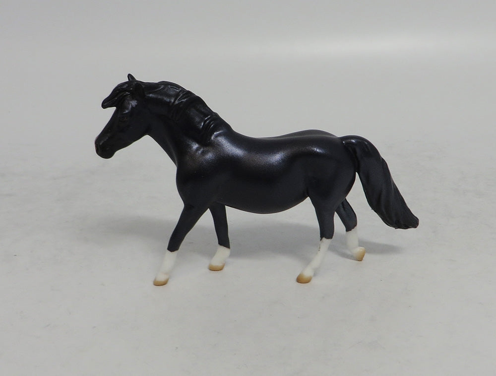 BEET-INI - OOAK METALLIC DARK PURPLE PONY CHIP 4/6/2018