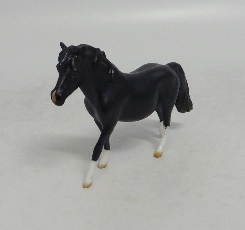 BEET-INI - OOAK METALLIC DARK PURPLE PONY CHIP 4/6/2018