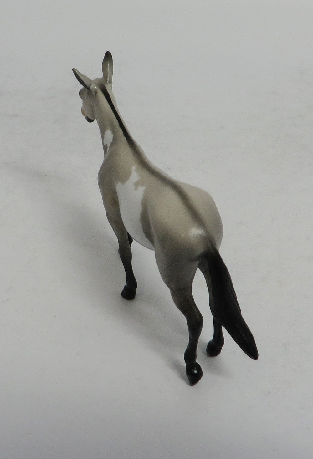 SABLE - OOAK GREY PINTO MULE CHIP 4/6/2018