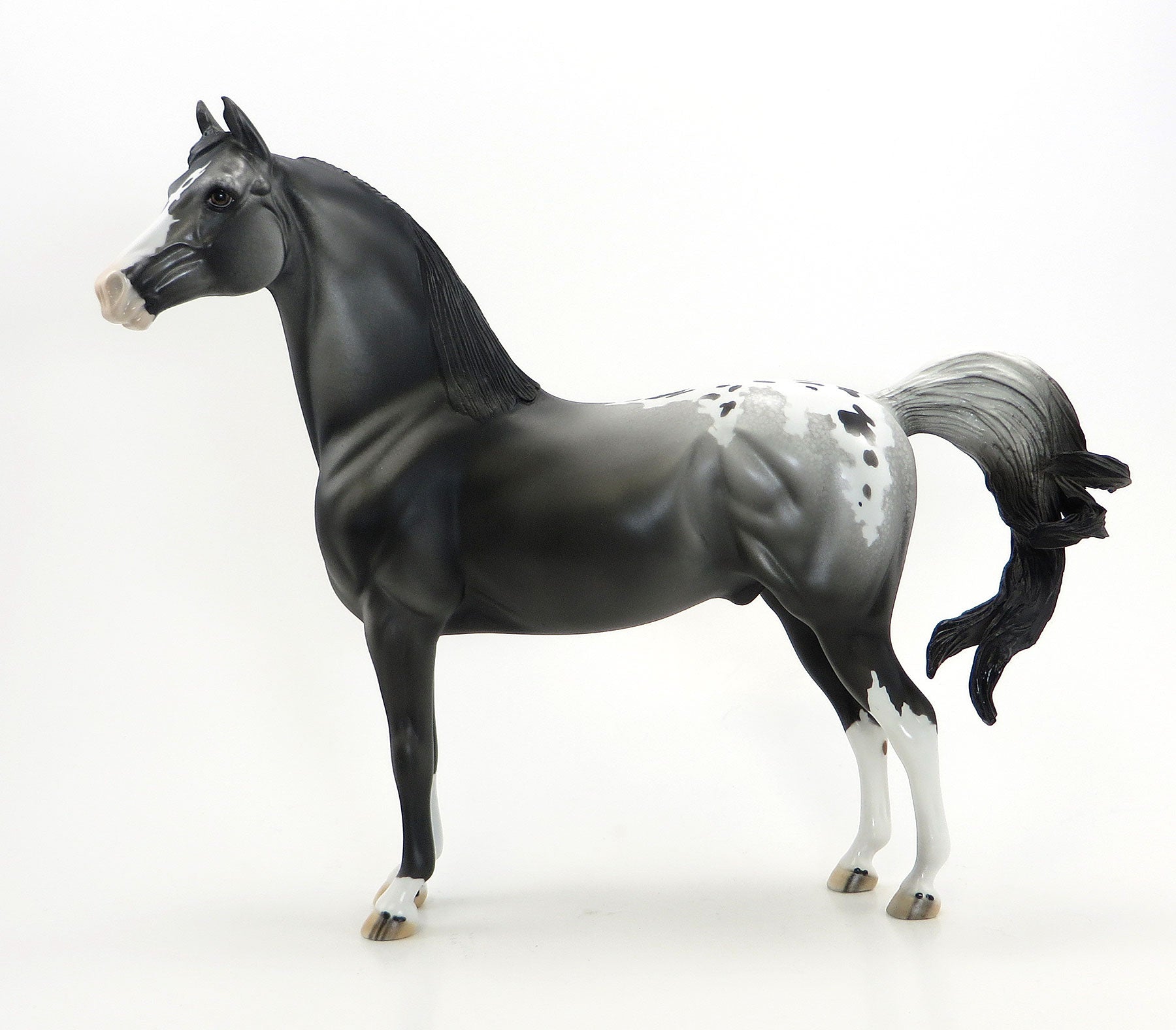 WE SALUTE YOU- OOAK Black Appaloosa Morgan Model Horse - 7/3