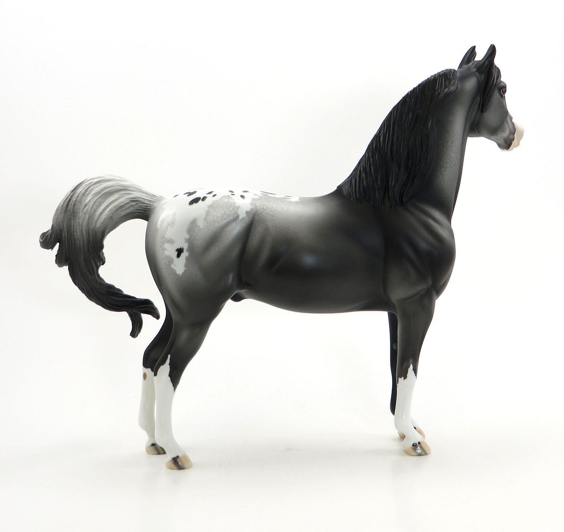WE SALUTE YOU- OOAK Black Appaloosa Morgan Model Horse - 7/3