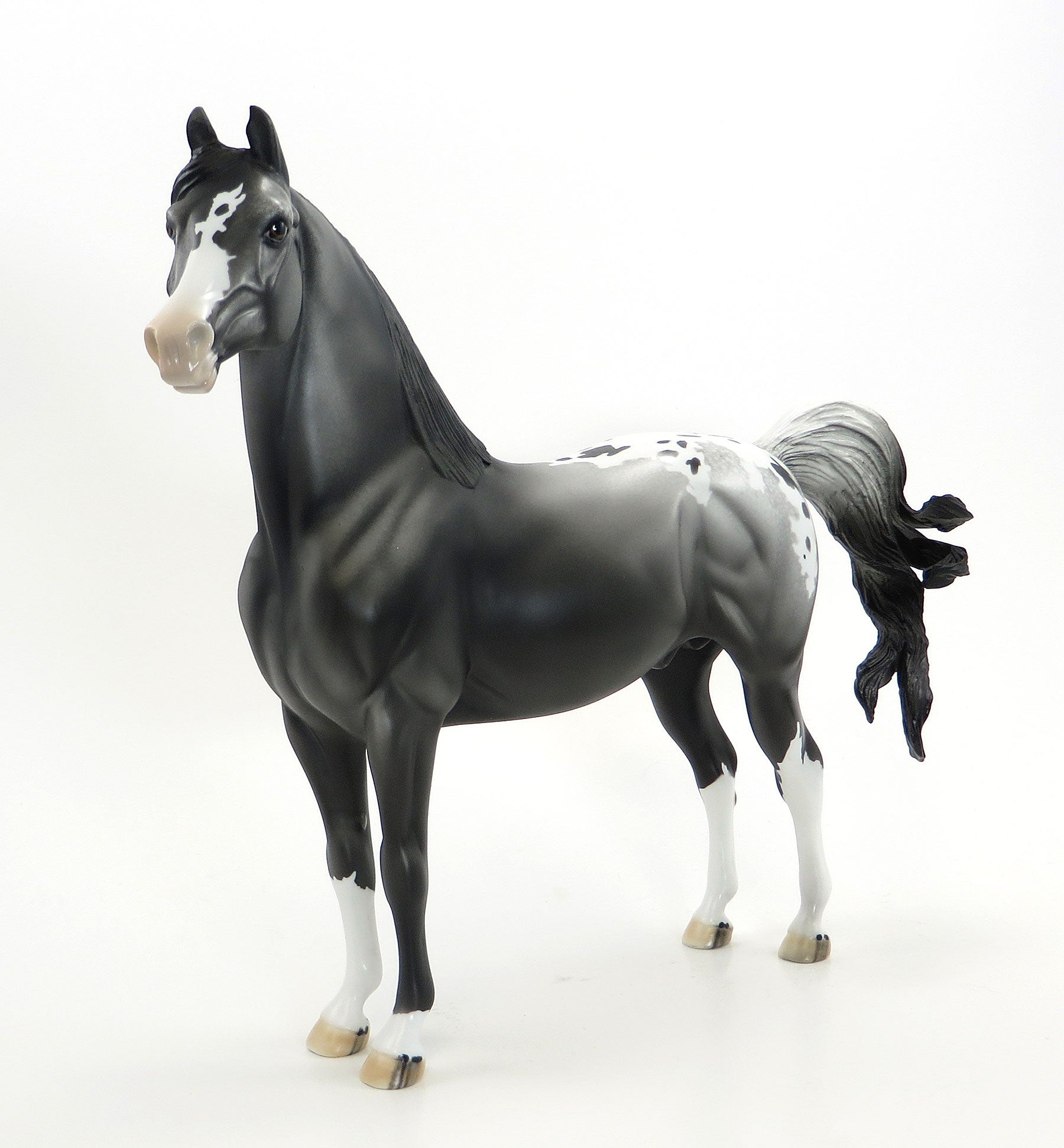 WE SALUTE YOU- OOAK Black Appaloosa Morgan Model Horse - 7/3