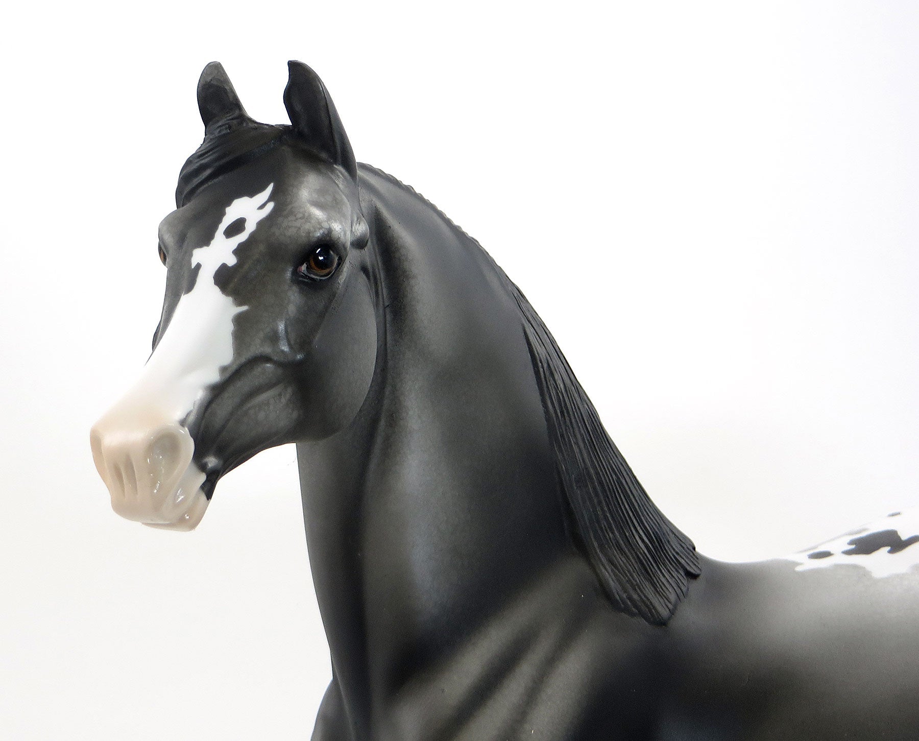 WE SALUTE YOU- OOAK Black Appaloosa Morgan Model Horse - 7/3