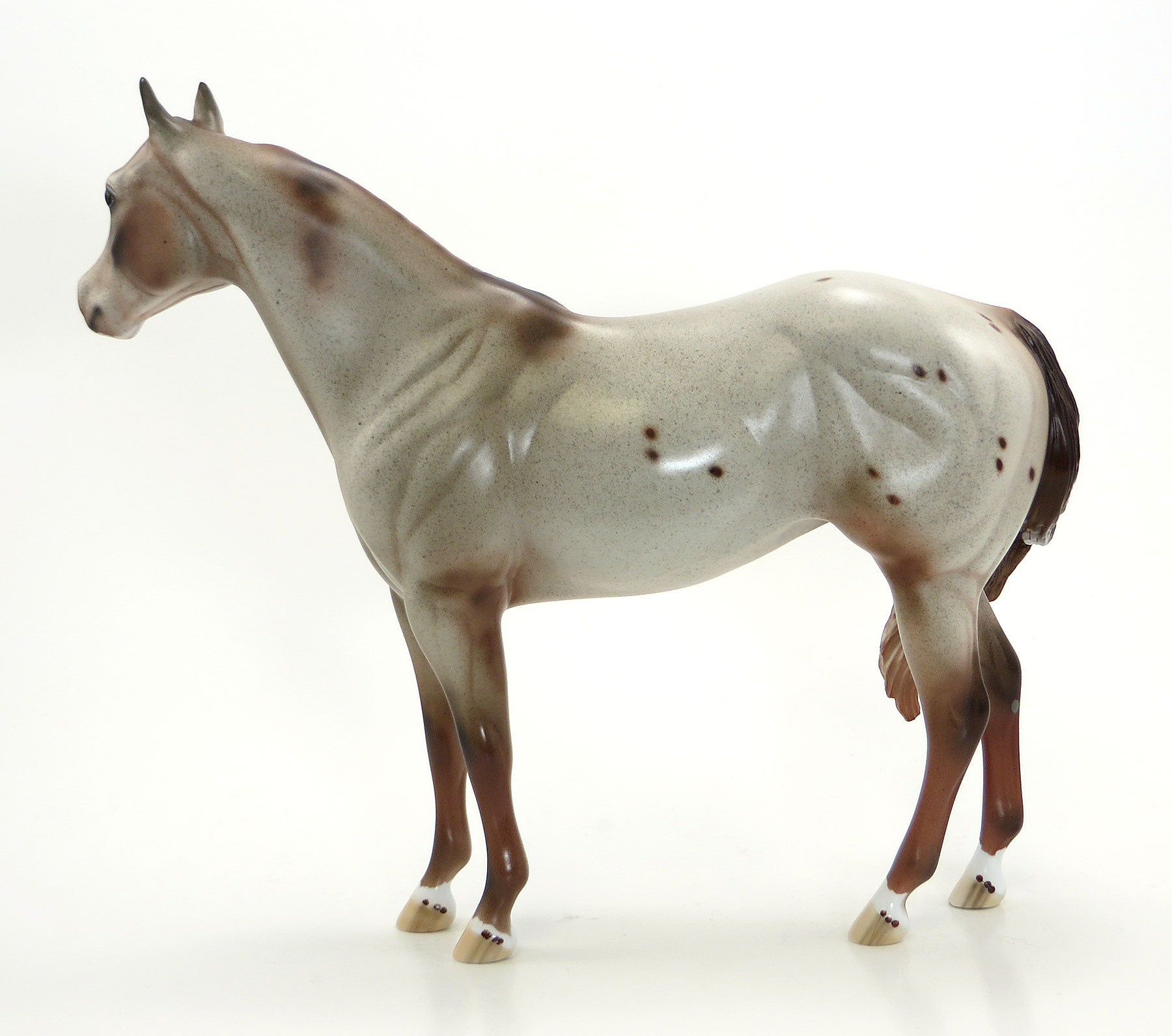 SWEET LIBERTY - OOAK Chestnut Appaloosa Model Stock Horse - 7/3