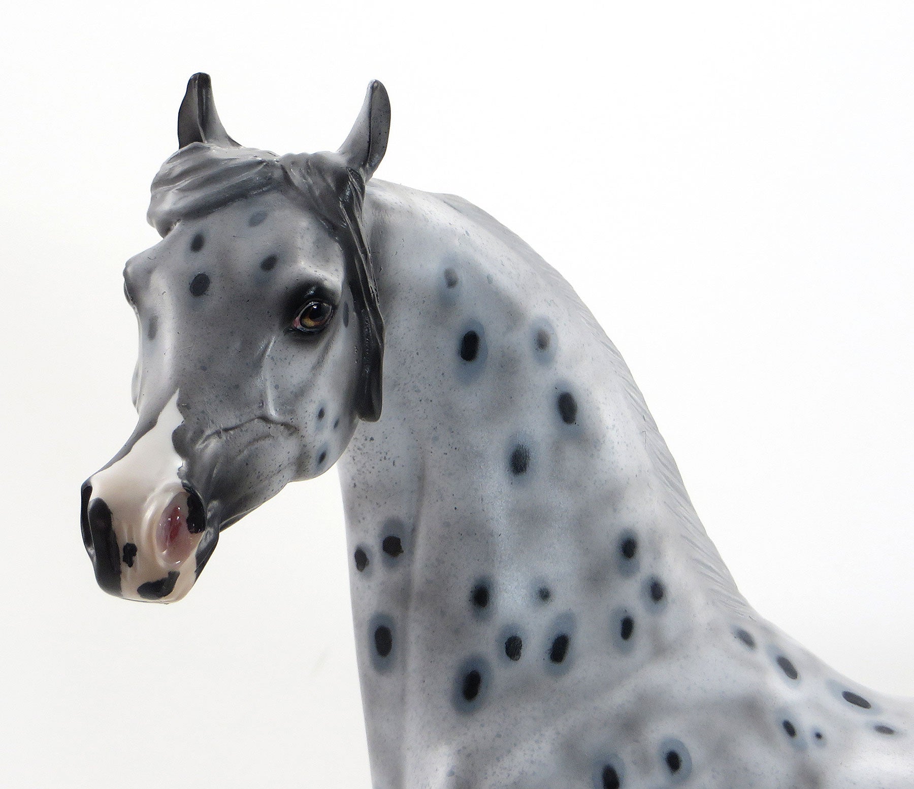 STARS AND STRIPES - OOAK Grey Appaloosa Arabian 7/3