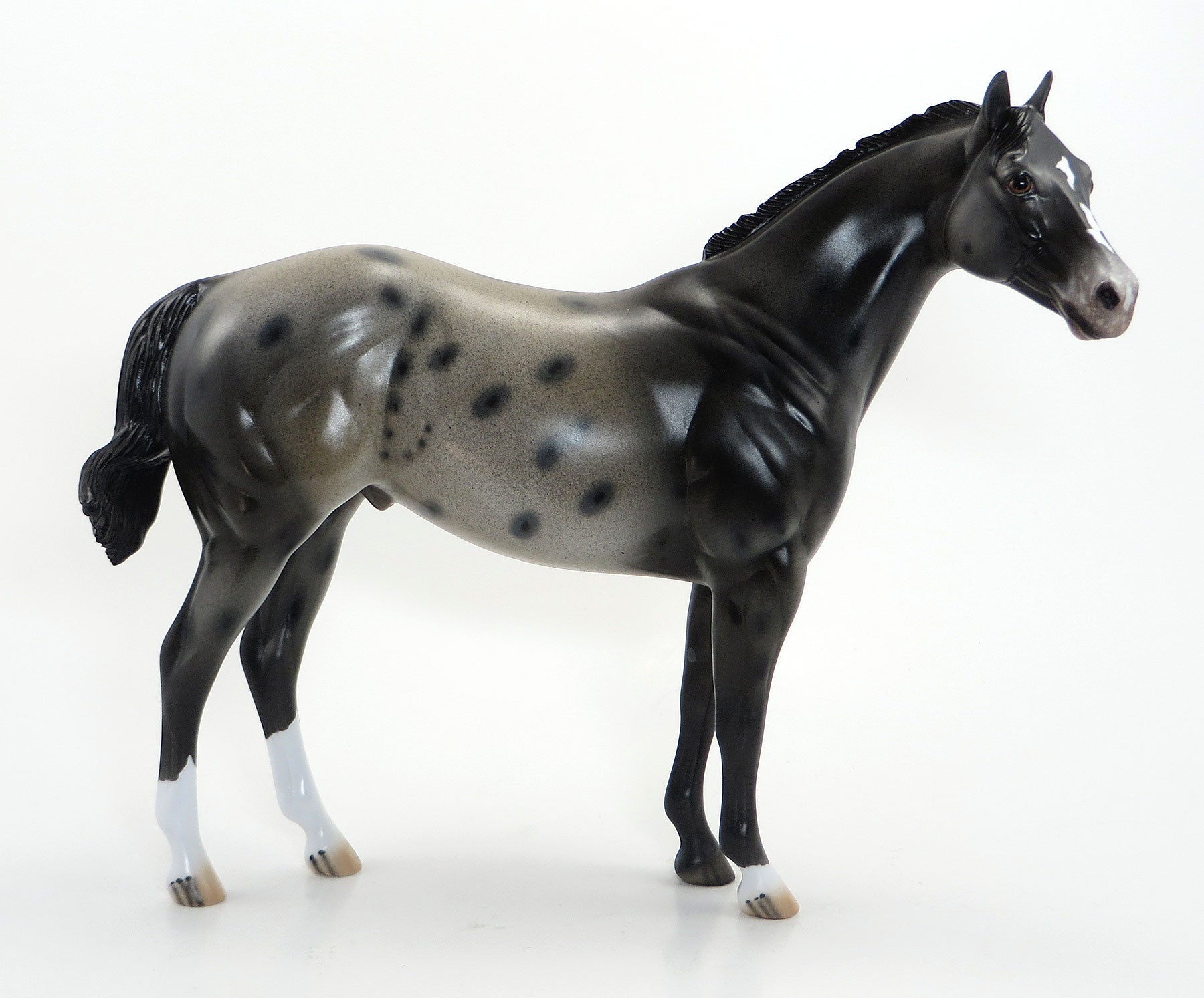 HOME OF THE BRAVE - OOAK Dark Appaloosa Stock Model Horse - 7/3