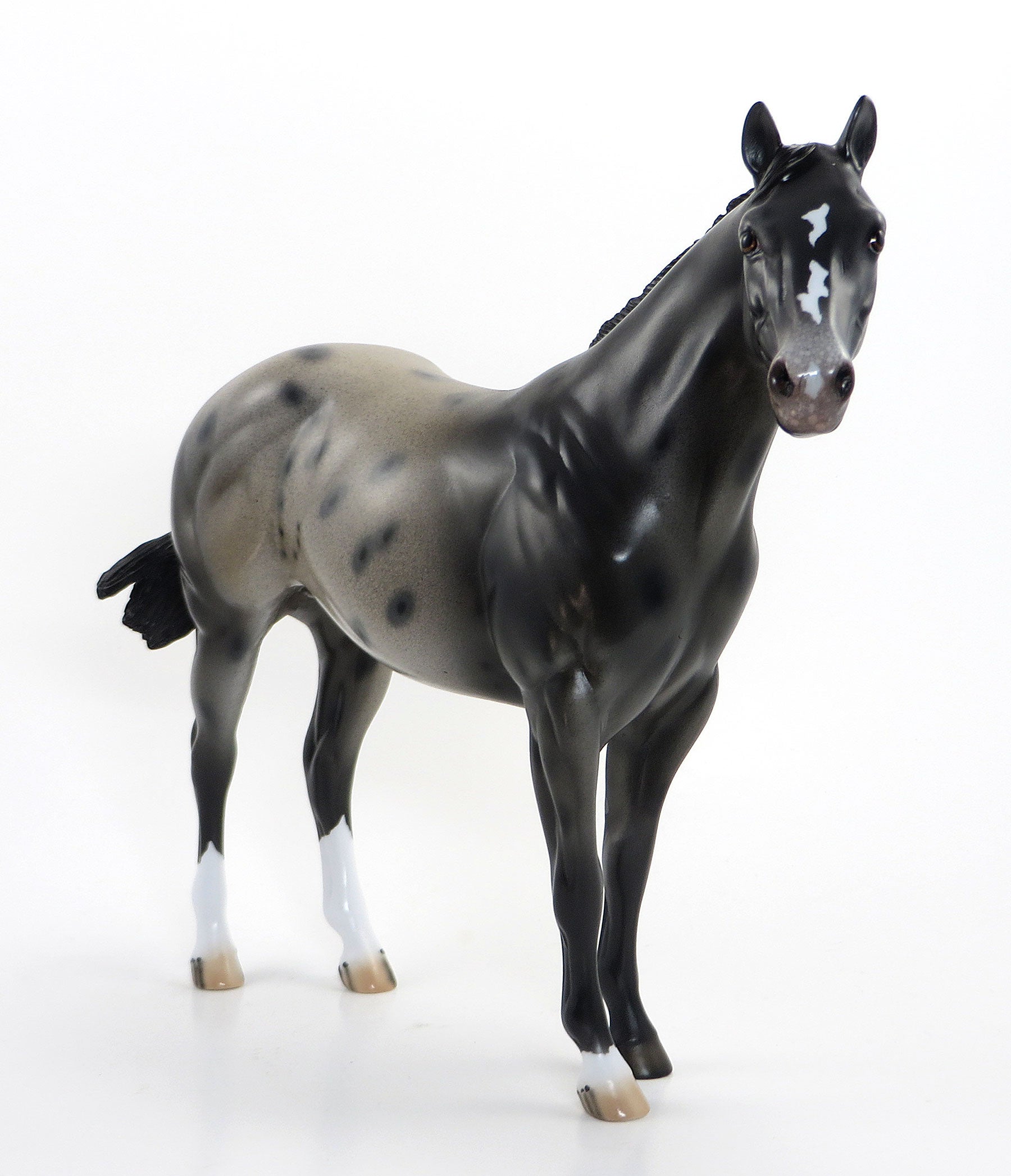 HOME OF THE BRAVE - OOAK Dark Appaloosa Stock Model Horse - 7/3