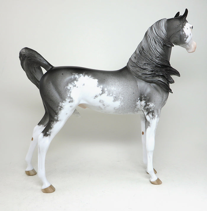 sabino arabian model horse hard days night