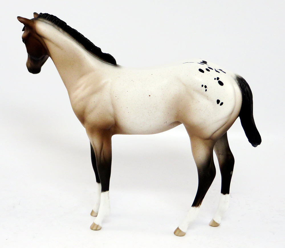 CIARA-OOAK VARNISH ROAN APPALOOSA WEANLING MODEL HORSE BY SHERYL LEISURE 3/10