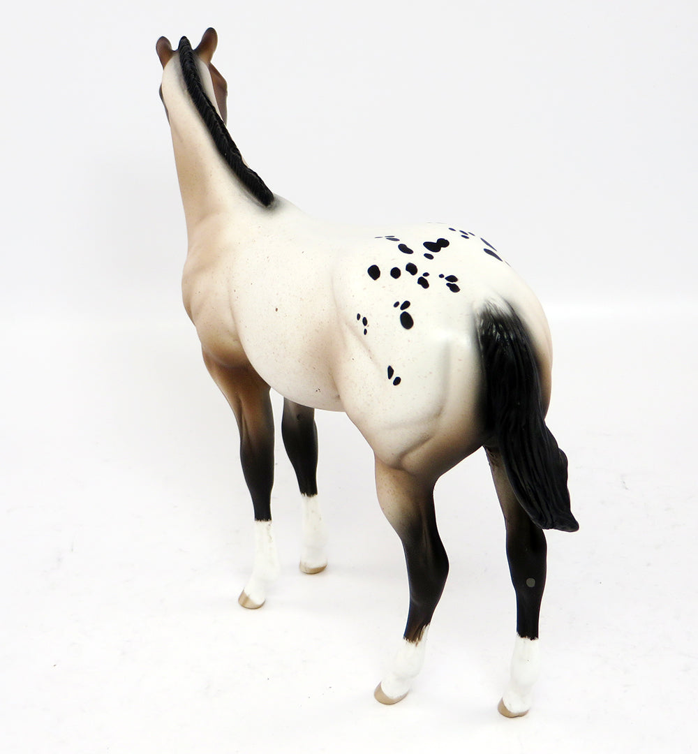 CIARA-OOAK VARNISH ROAN APPALOOSA WEANLING MODEL HORSE BY SHERYL LEISURE 3/10