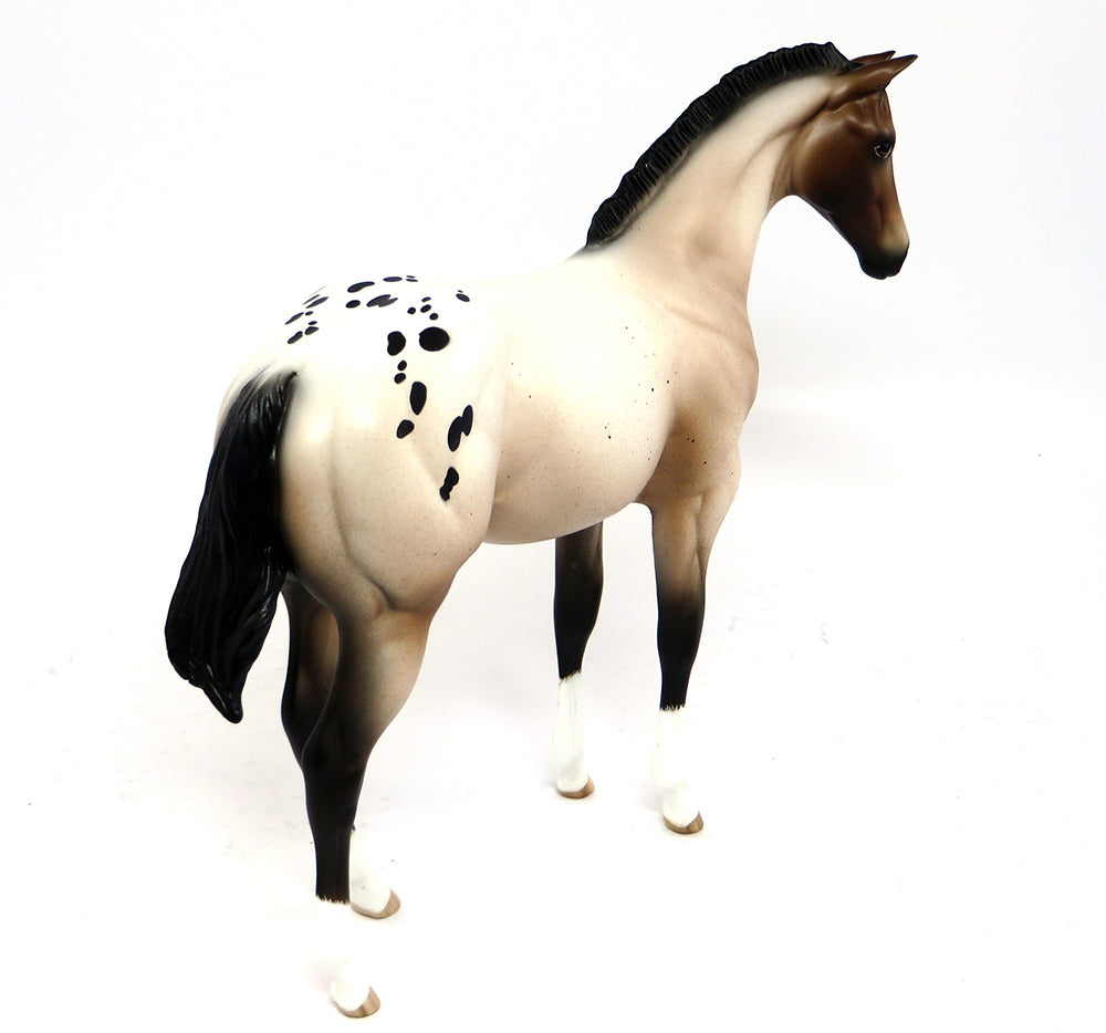 CIARA-OOAK VARNISH ROAN APPALOOSA WEANLING MODEL HORSE BY SHERYL LEISURE 3/10