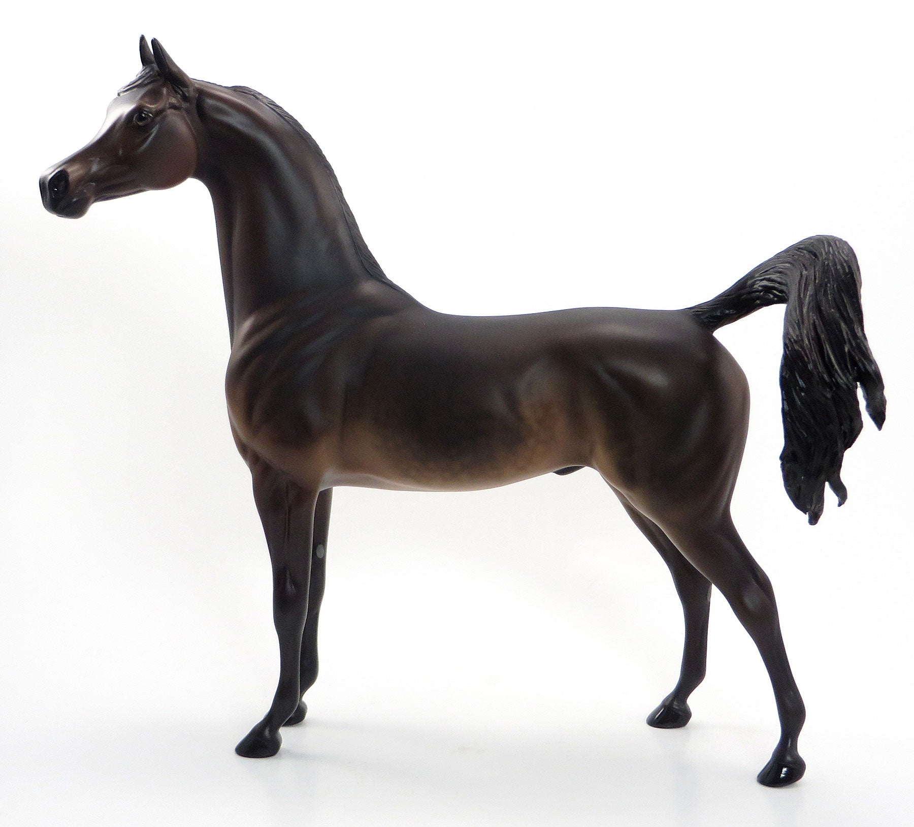 STANDING WITH INDEPENDENCE - OOAK Dark Bay Arabian 7/3