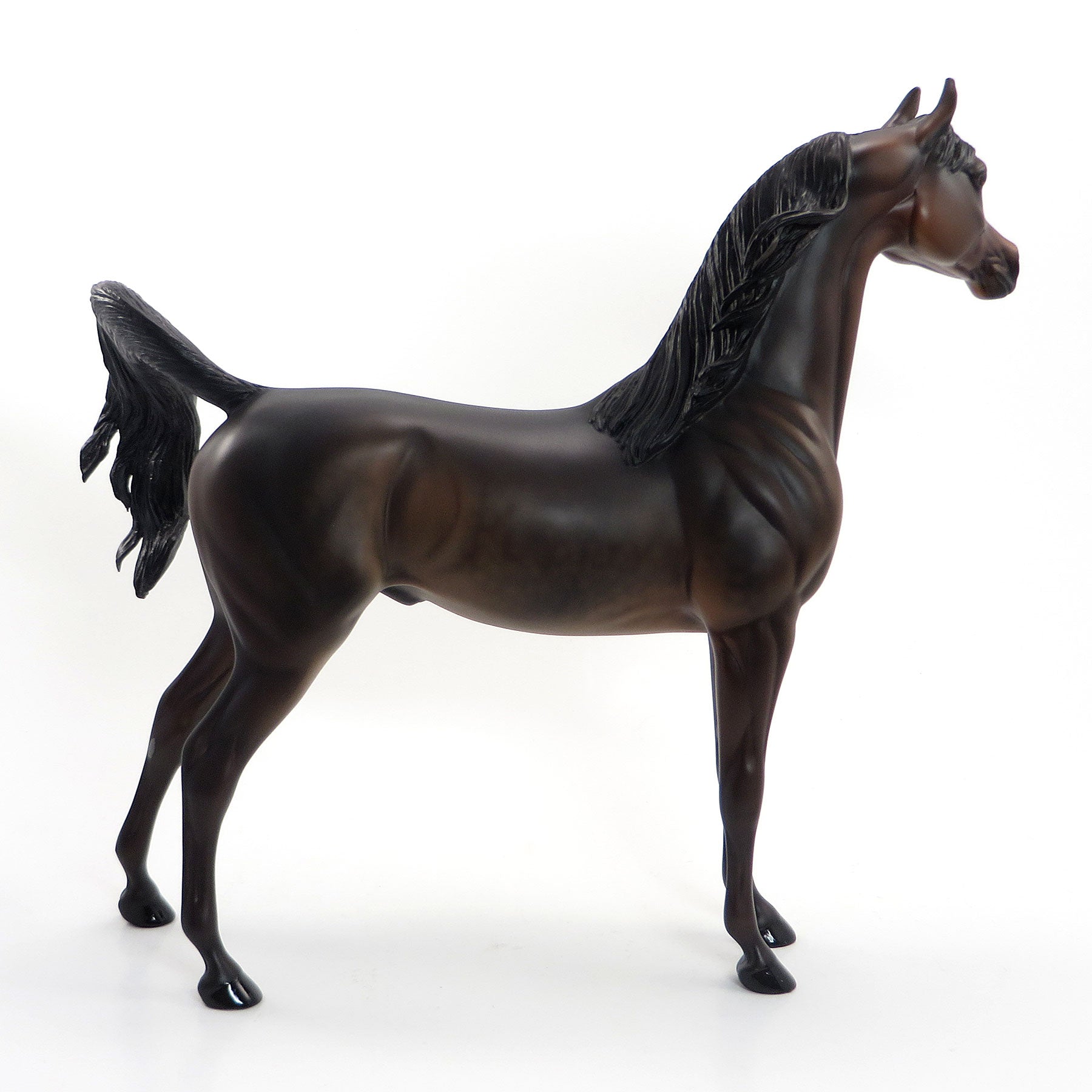 STANDING WITH INDEPENDENCE - OOAK Dark Bay Arabian 7/3