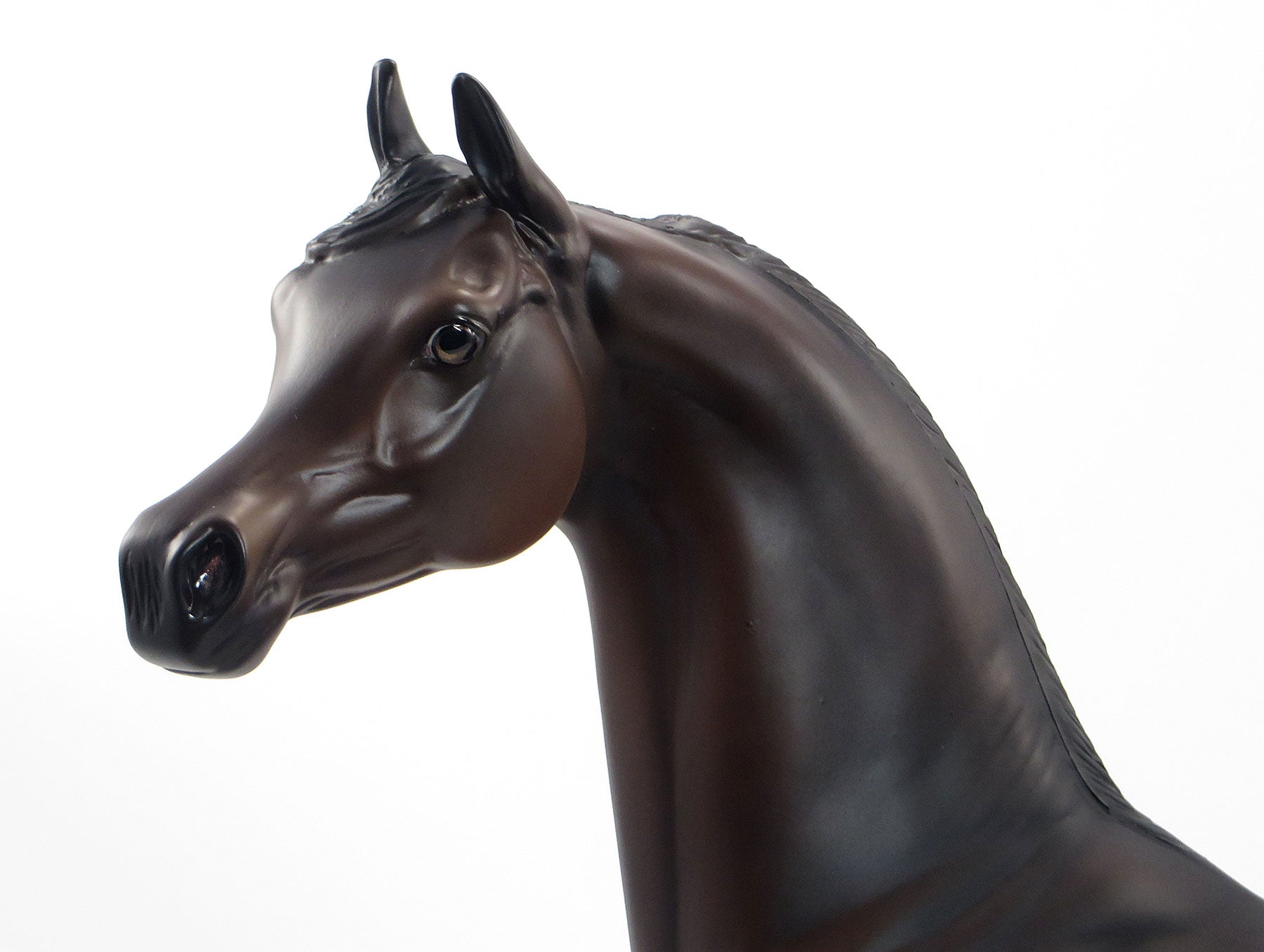 STANDING WITH INDEPENDENCE - OOAK Dark Bay Arabian 7/3