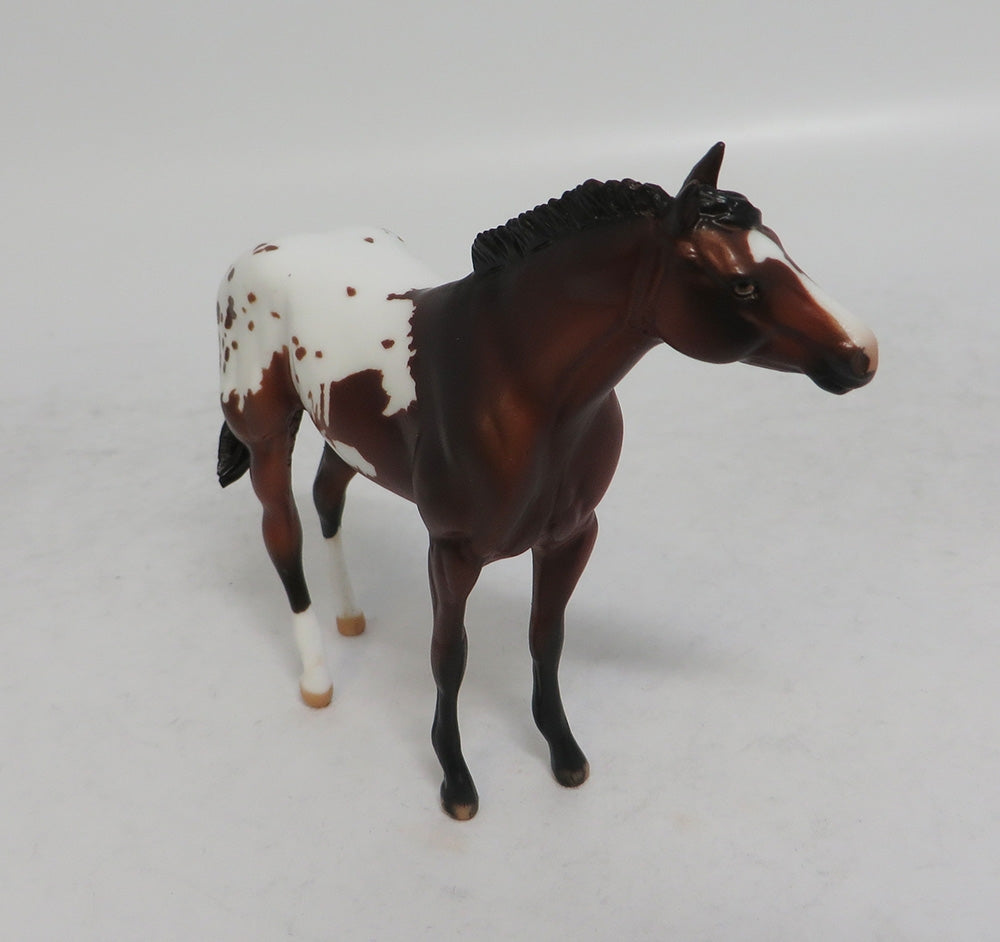 BEXLEY MINI ME - LE7 BAY APPALOOSA STOCK CHIP EA2018