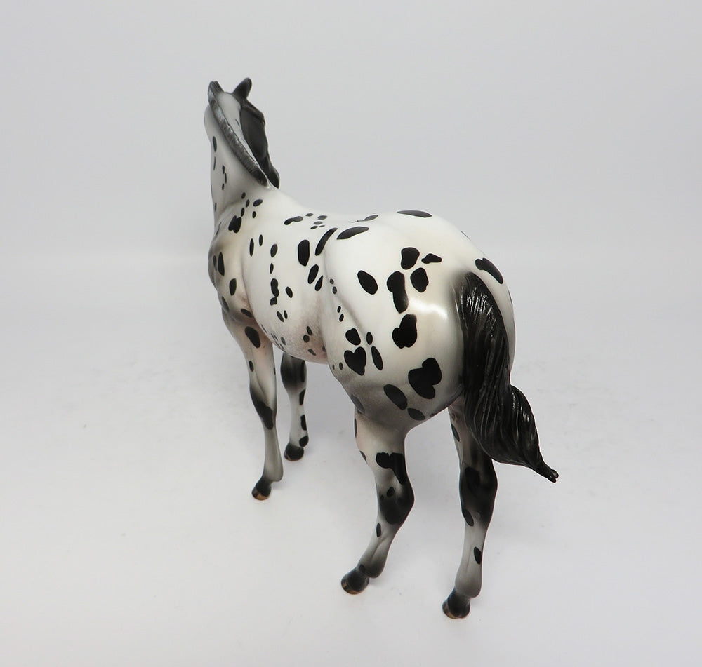 APPALOOSA