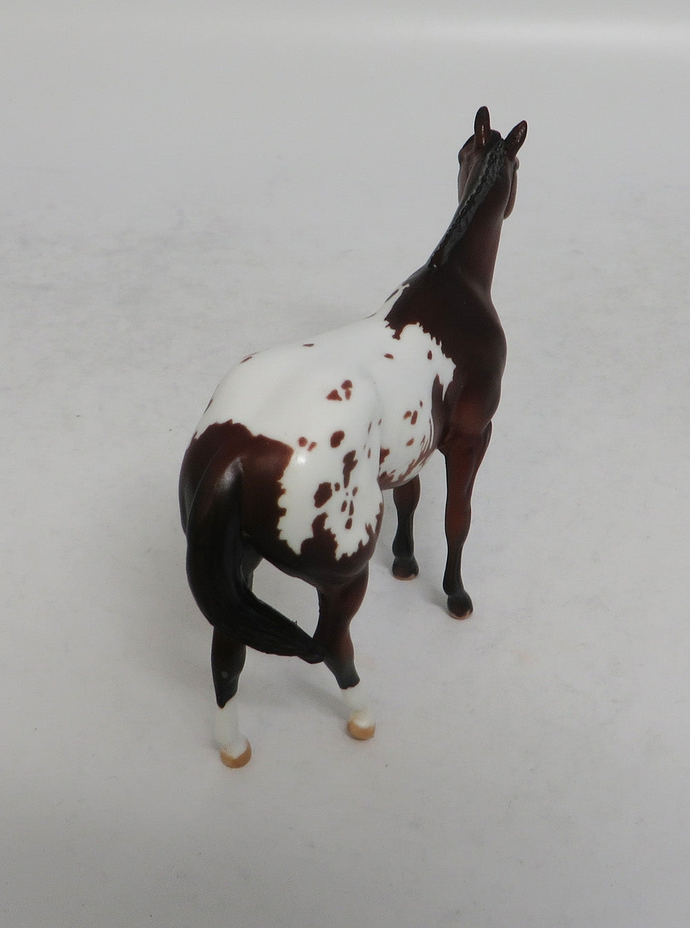 BEXLEY MINI ME - LE7 BAY APPALOOSA STOCK CHIP EA2018