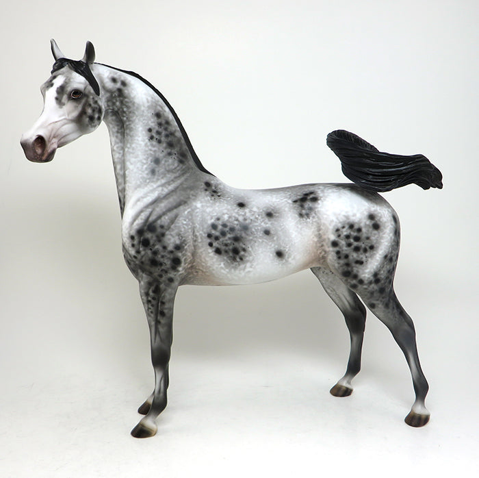 appaloosa arabian model horse rsvp