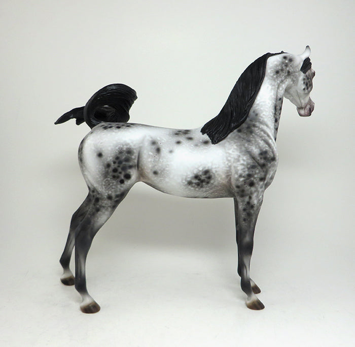 rsvp appaloosa arabian peter stone