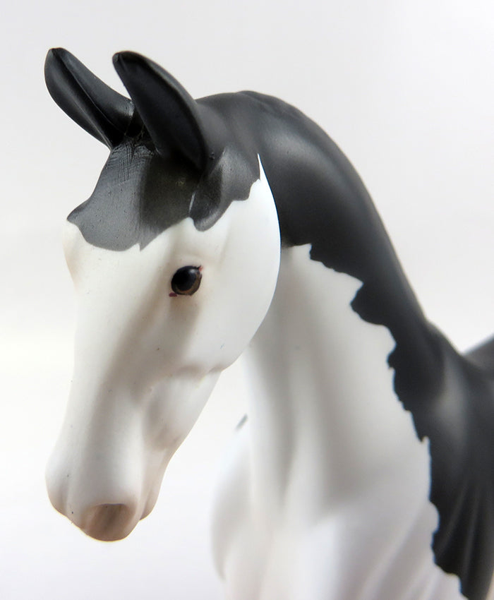 SALEM-OOAK BLACK SPLASH PAINT SADDLEBRED MODEL HORSE 10/4/16