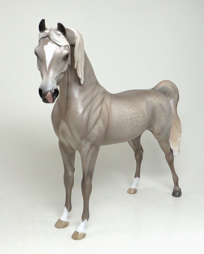 sheryl leisure arabian