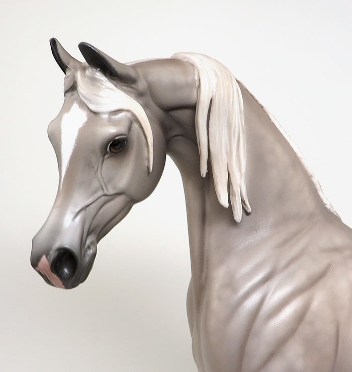 peter stone kiss me once