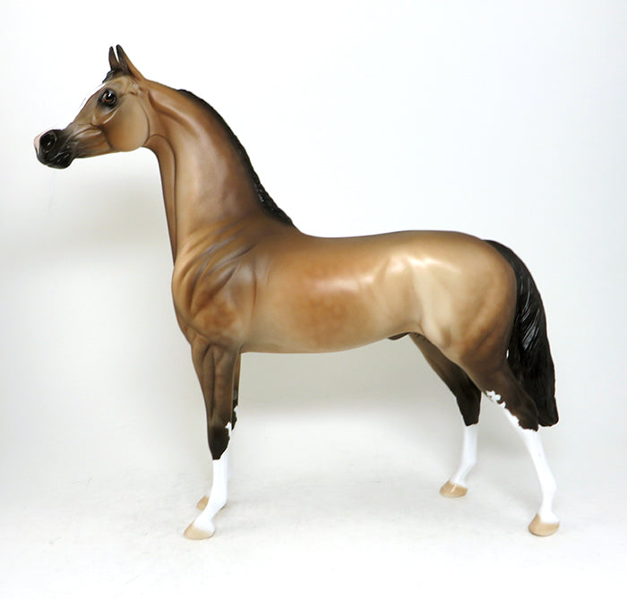 locomotion buckskin arabian