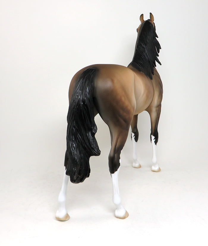 peter stone arabian buckskin