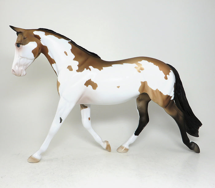 i'm not sure paint buckskin palouse