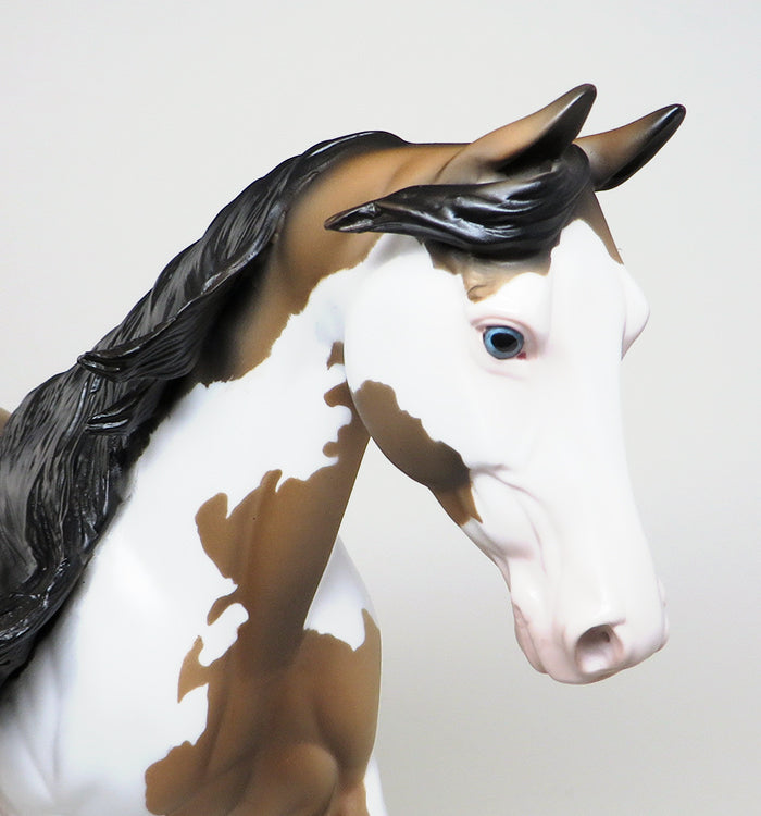 one of a kind palouse