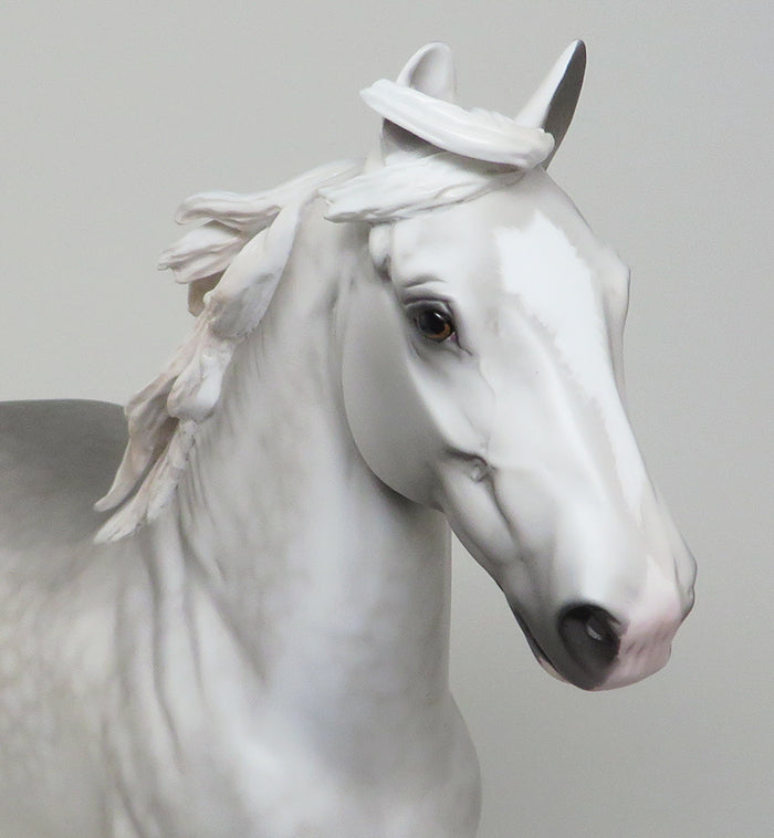 southern nights trotting drafter