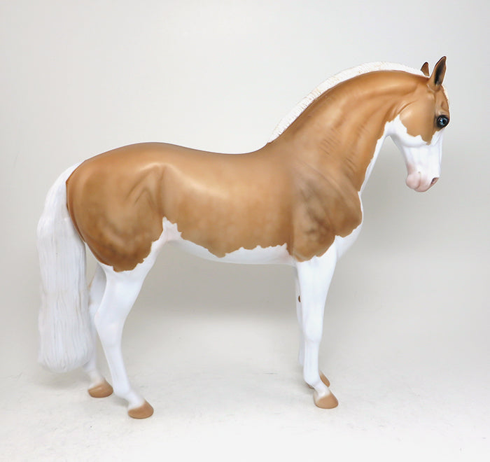 palomino splash andalusian