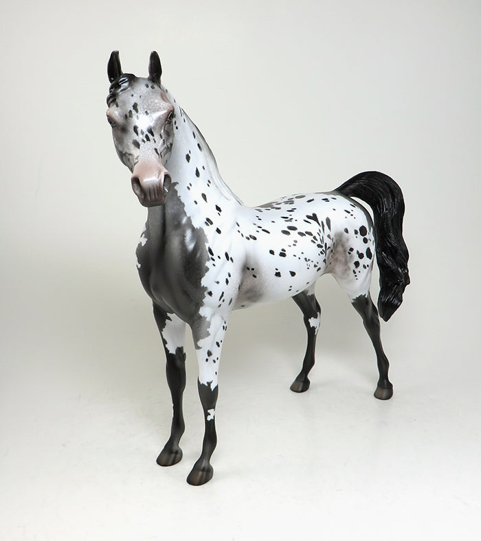 CHANCES ARE-OOAK APPALOOSA ARABIAN MODEL HORSE 4/8