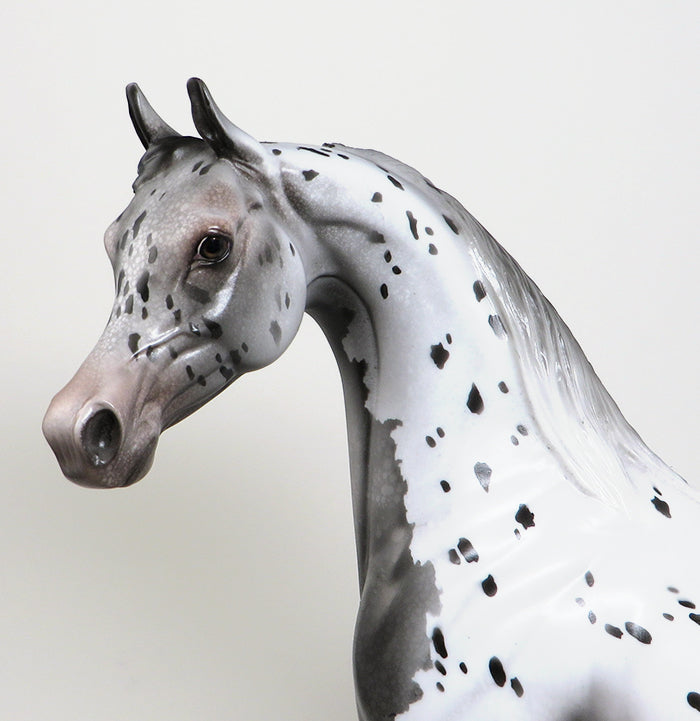 CHANCES ARE-OOAK APPALOOSA ARABIAN MODEL HORSE 4/8