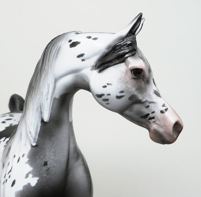CHANCES ARE-OOAK APPALOOSA ARABIAN MODEL HORSE 4/8