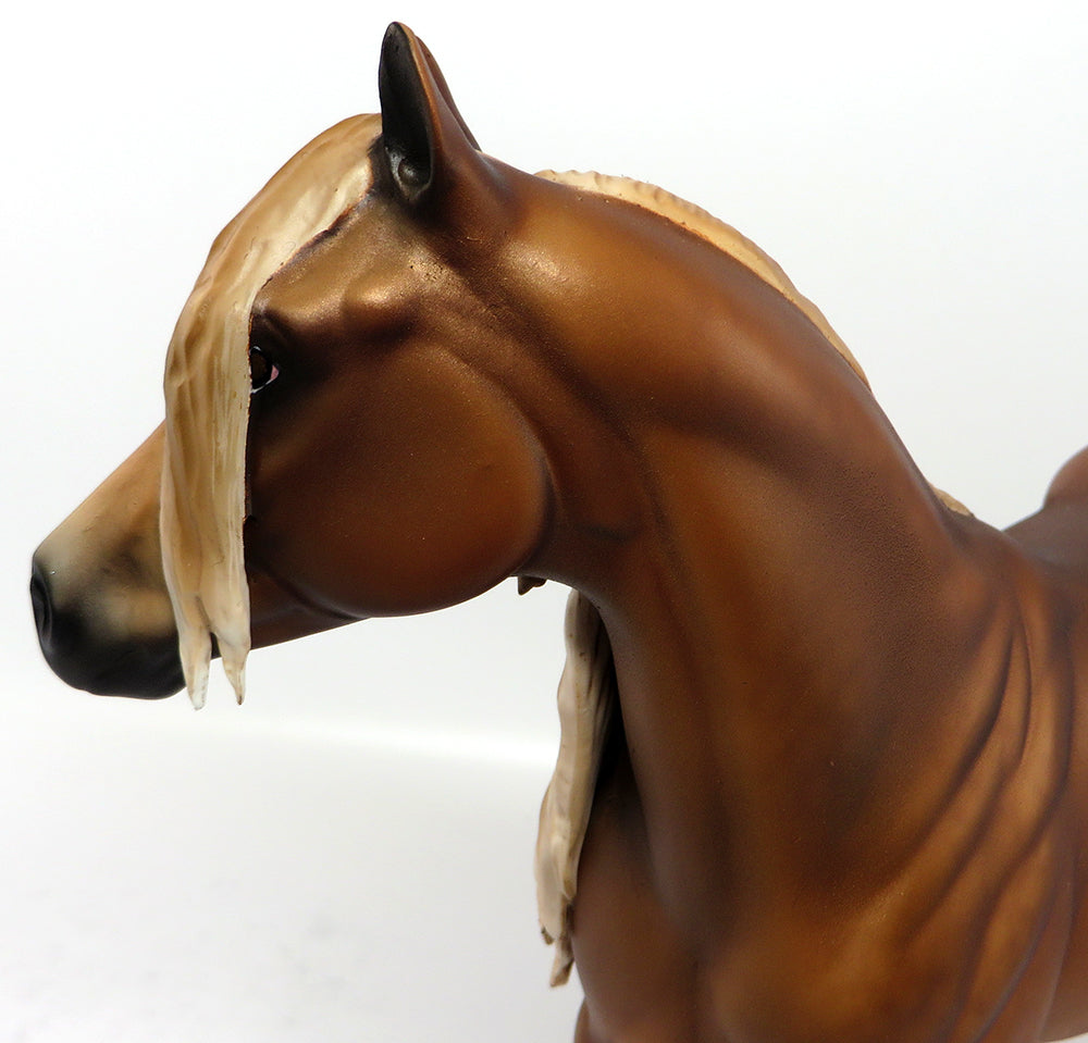 Custom Forelock